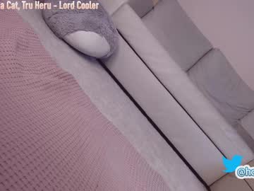 Cam stars girl hollyextra image #373840