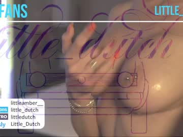 Cam stars girl little_dutch image #3991969