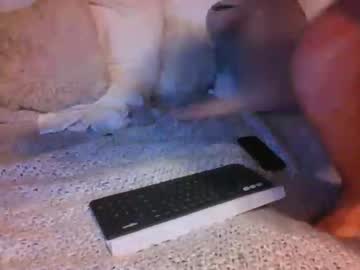 Cam stars man azguy0505 image #630269