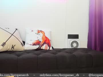 Cam stars girl foxy_gamer image #1907204