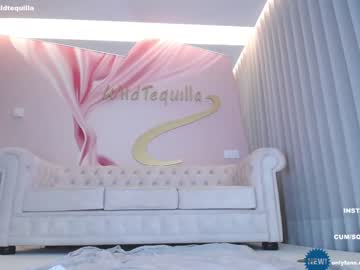 Cam stars girl wildtequilla image #4241579