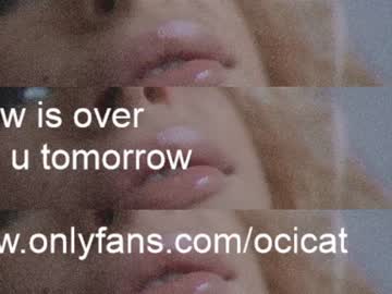 Cam stars girl ocicat image #3599724