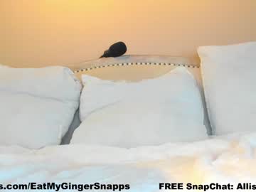 Cam stars girl eatmygingersnapps image #6921444