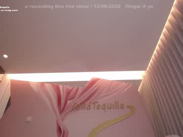 Cam stars girl wildtequilla image #2408918