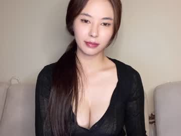 Cam stars girl burmilla1 image #2348703