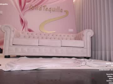 Cam stars girl wildtequilla image #3191006