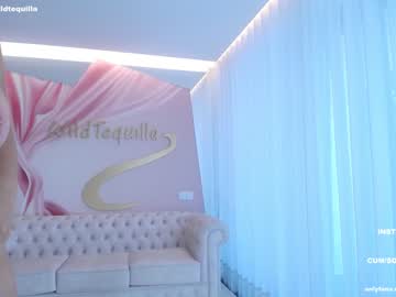 Cam stars girl wildtequilla image #4618885