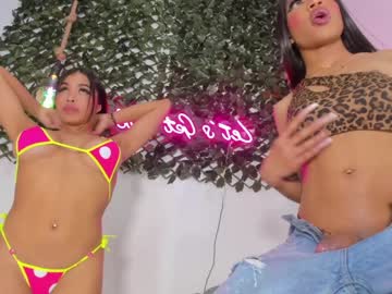 Cam stars tranny wonderfulebonyts image #3880807