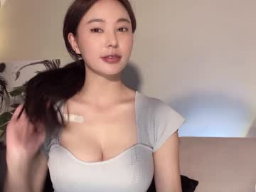 Cam stars girl burmilla1 image #2864321