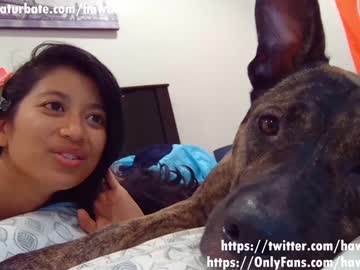 Cam stars girl hawaiigirl_ image #2781734