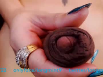 Cam stars tranny longmint96 image #3239416