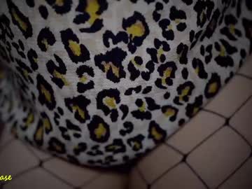 Cam stars girl excitease image #2215689