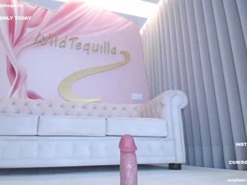 Cam stars girl wildtequilla image #4478287