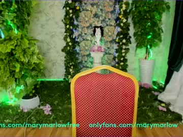 Cam stars girl mary_marlow image #1049388