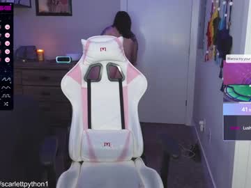 Cam stars girl scarlettpython1 image #4476404