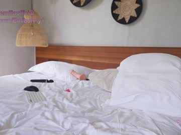 Cam stars girl emilia98xxx image #4901476
