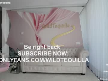 Cam stars girl wildtequilla image #4718817