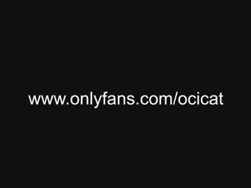 Cam stars girl ocicat image #3807296