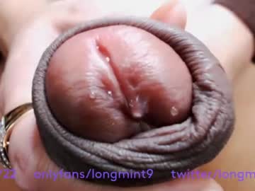 Cam stars tranny longmint96 image #1306558