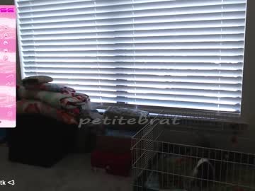 Cam stars girl petitebrat image #4563526