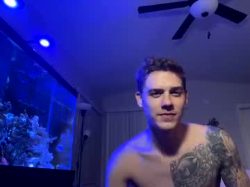 fin_wixx cam stars
