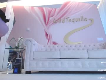 Cam stars girl wildtequilla image #5392652