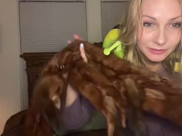 Cam stars girl kaileeshy image #1260052