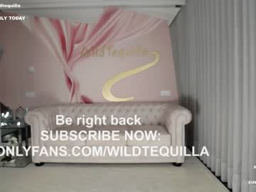 Cam stars girl wildtequilla image #4212785