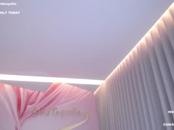 Cam stars girl wildtequilla image #4226641