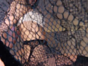 Cam stars girl sasha_ursx image #1745133