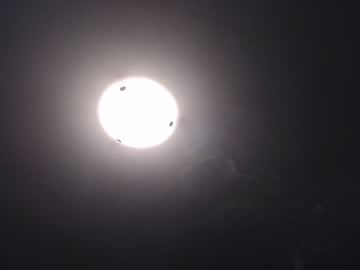 Cam stars man lancehardin image #3778000