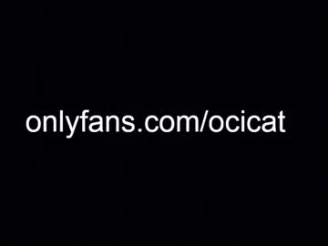 Cam stars girl ocicat image #5367764
