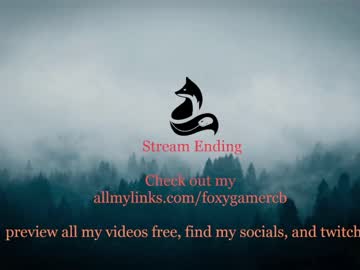 Cam stars girl foxy_gamer image #3895553