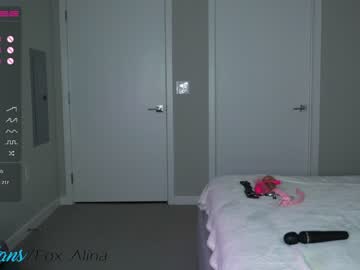 Cam stars girl fox_alina image #2939165