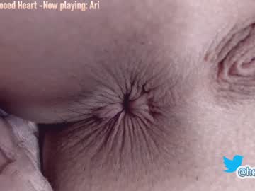 Cam stars girl hollyextra image #454232