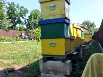 Cam stars girl 2whitediamonds image #4681588