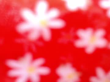 Cam stars girl lettali image #1837968
