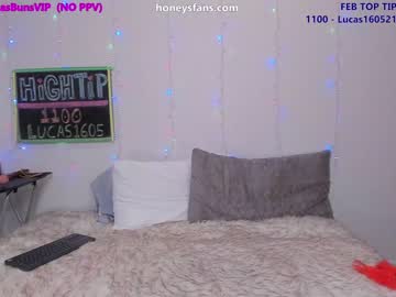 Cam stars girl honeyhasbuns image #6493248