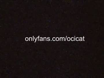 Cam stars girl ocicat image #4994493