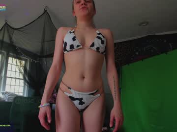 Cam stars couple rose_carter image #1761096