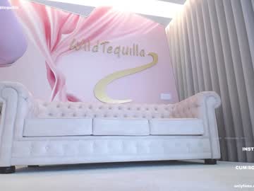 Cam stars girl wildtequilla image #5022247