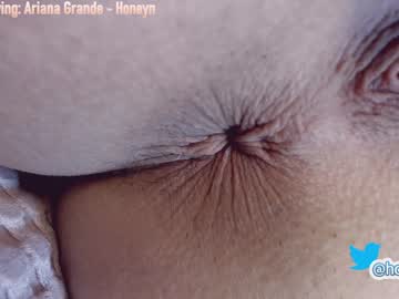 Cam stars girl hollyextra image #453933