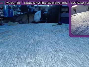 Cam stars girl creepycrawlygirl66 image #384895