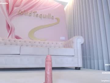 Cam stars girl wildtequilla image #5625889