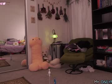 Cam stars girl evelynpiers image #4143083