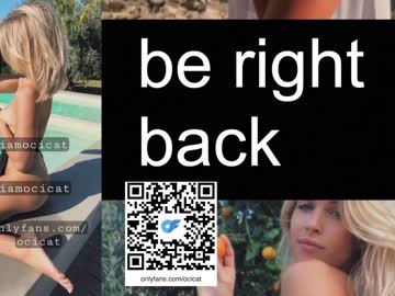 Cam stars girl ocicat image #5712875
