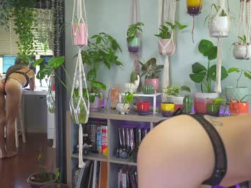 Cam stars girl sunniedayz image #4663785