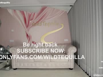 Cam stars girl wildtequilla image #4763596