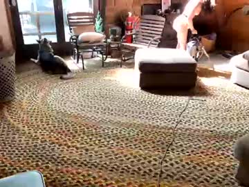 Cam stars girl emersoncane image #4377286
