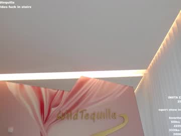 Cam stars girl wildtequilla image #3903984